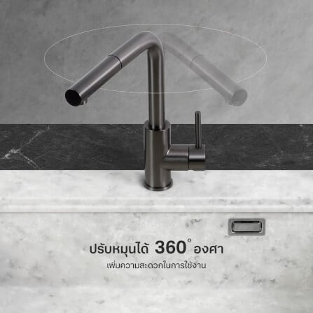 ก๊อกซิงค์สำหรับอ่างล้างจาน EVE LEXI GUNMETAL EP สเตนเลส 30 ซม. สีดำเงา_2